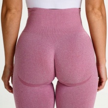 2021 Fitness Wear Sports Leggings Women Wholesale Seamless Compression Tight Yoga Pants