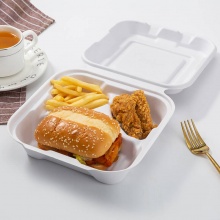 bagasse food box takeaway container supplier